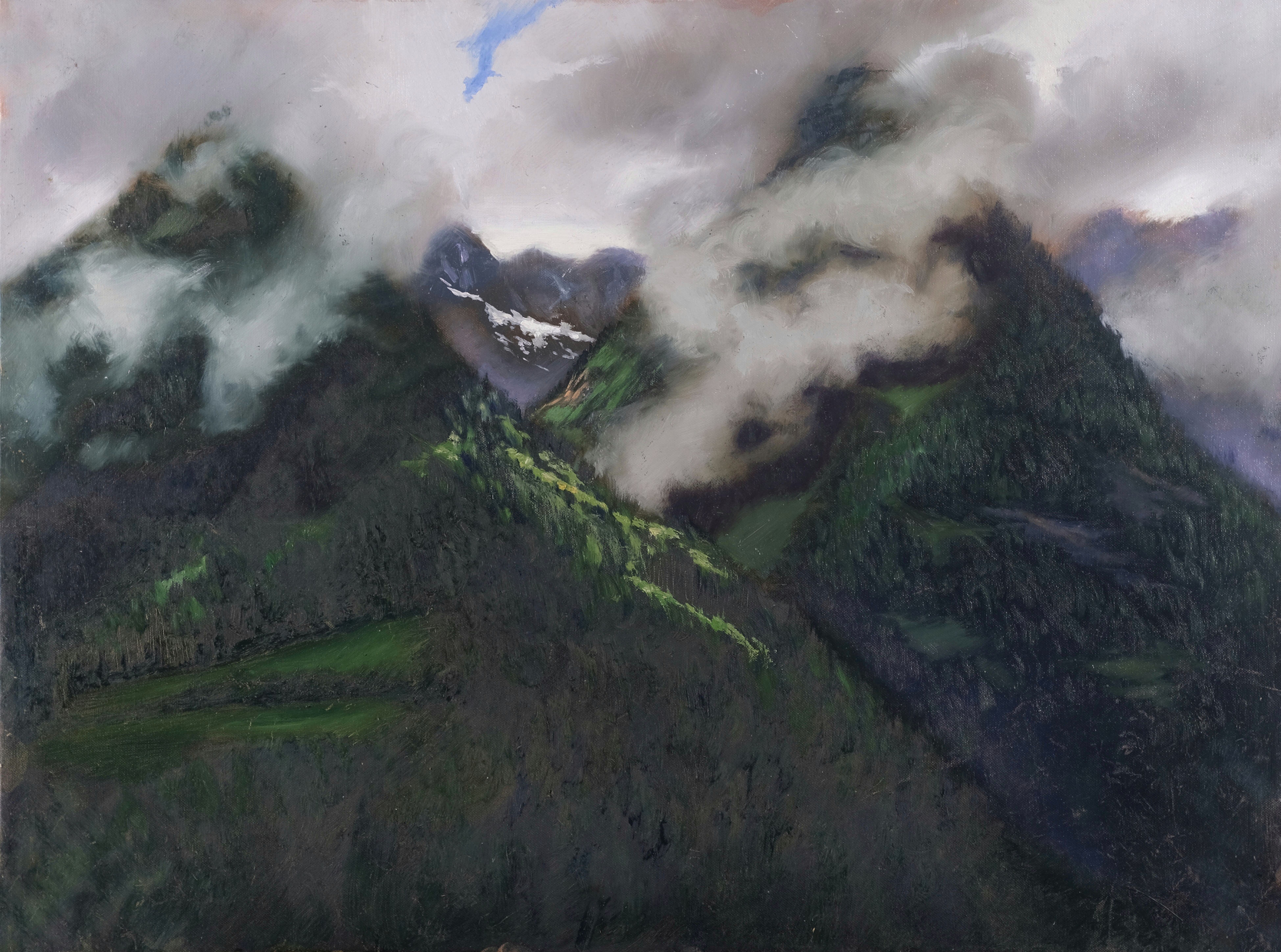 Original en plein air oil painting on canvas by Maria Luisa Bevivino in Valle Aurina, Trentino-Alto Adige, 2025