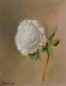 Floral study oil painting on canvas by Maria Luisa Bevivino with a white rose, 2022