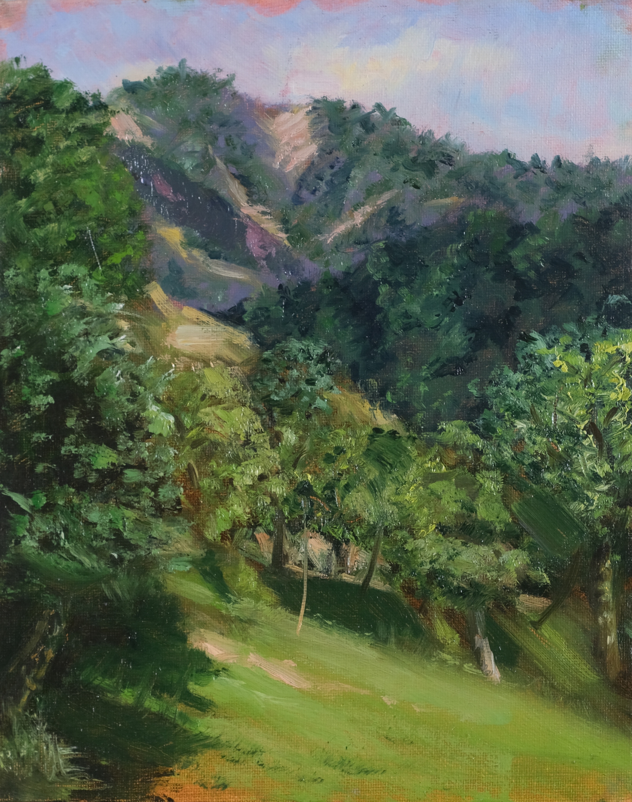 Original en plein air landscape oil painting on canvas by Maria Luisa Bevivino with a wooded hillside in Garfagnana