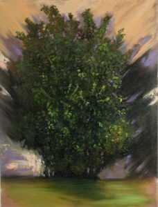 Original shrub study oil painting on canvas by Maria Luisa Bevivino depicting a solitary green shrub, 2025