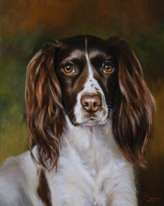 Portrait of Bonnie, an English Springer Spaniel, by Maria Luisa Bevivino. Oil on canvas, 40 × 50 cm, 2026.